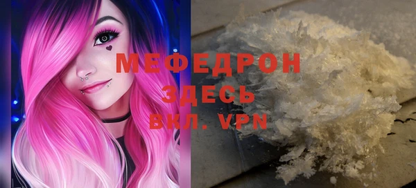 индика Белокуриха