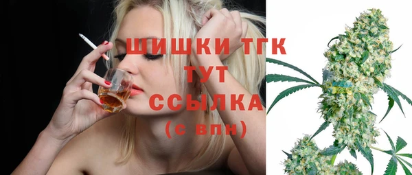 шишки Белоозёрский