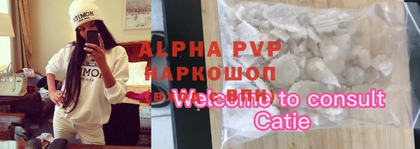 шишки Белоозёрский
