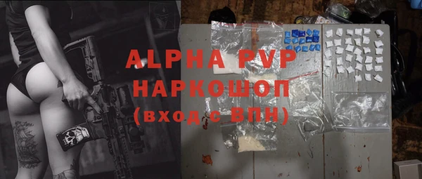 шишки Белоозёрский