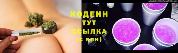 шишки Белоозёрский