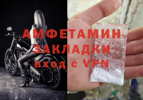 шишки Белоозёрский