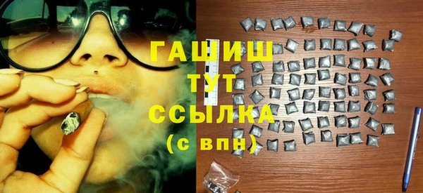индика Белокуриха