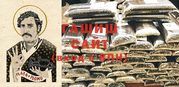 индика Белокуриха