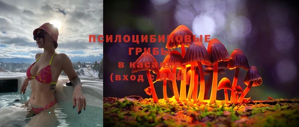 шишки Белоозёрский