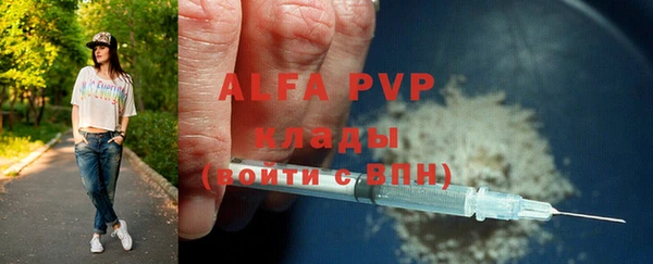 шишки Белоозёрский