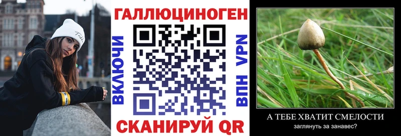 как найти наркотики  маркетплейс клад  Псилоцибиновые грибы мицелий  Гороховец 