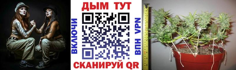 наркота  Гороховец  Шишки марихуана конопля 